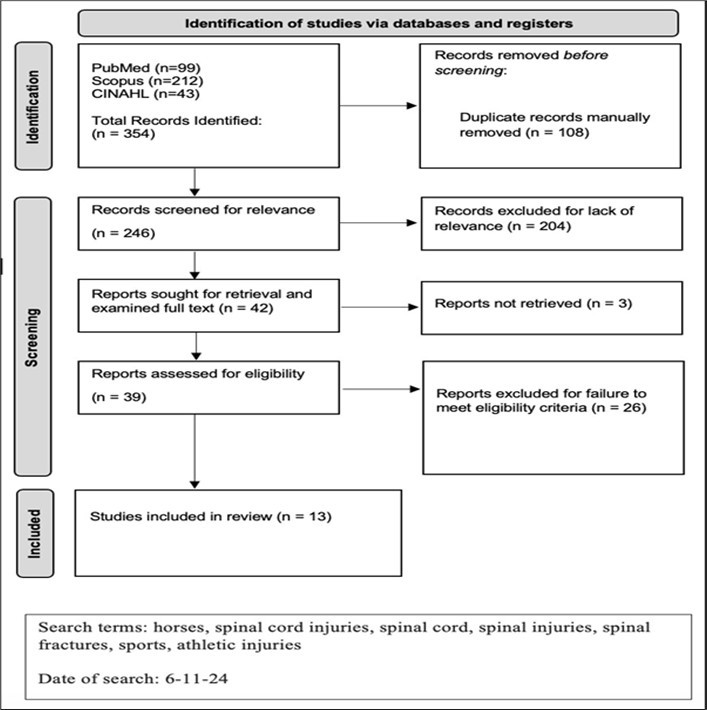 PRISMA diagram, the detailed inclusion procedure in a systematic review of literature