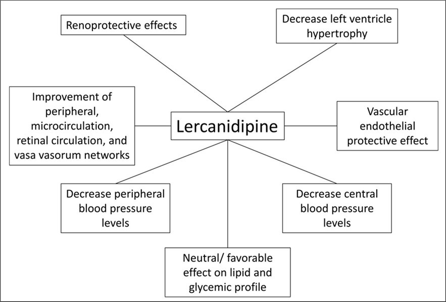 Graphical Abstract: Pleiotropic effects of Lercanidipine