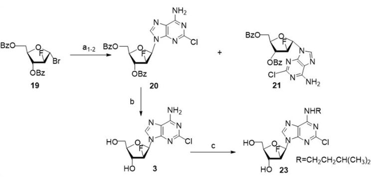 Journal of New Developments in Chemistry-Anticancer purine nucleoside