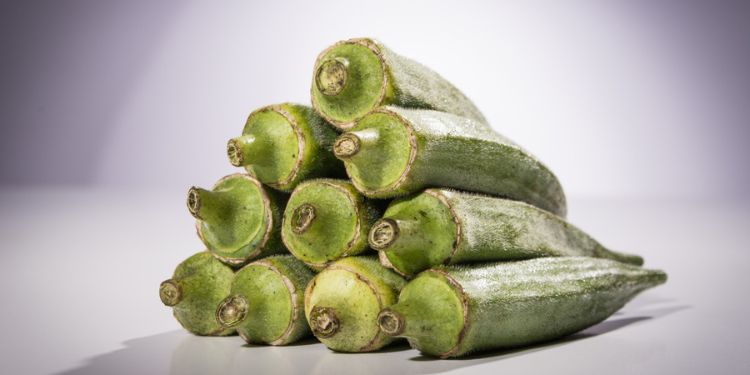 Journal of Farming - Abelmoschus esculentus L